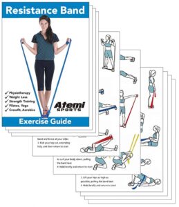 Physio Bands PDF Exercise Guide