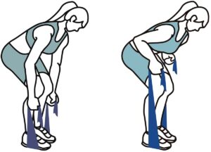 Resistance band physiotherapy exercises: Bent Over Row